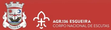 Entre cravos e acordes