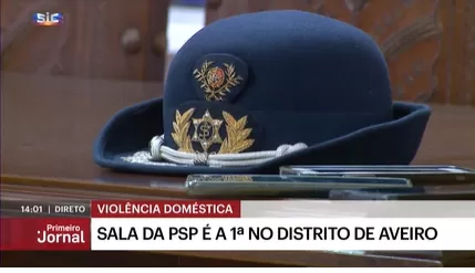 PSP de Aveiro registou mais de 1.500 denúncias de violência doméstica em 5 anos (fonte: