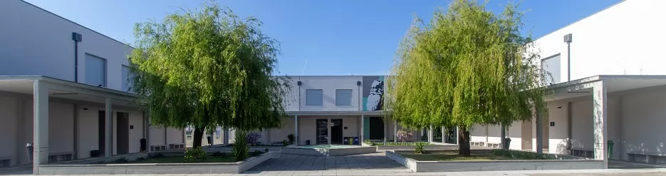 40 anos da Escola Secundária Jaime Magalhães Lima